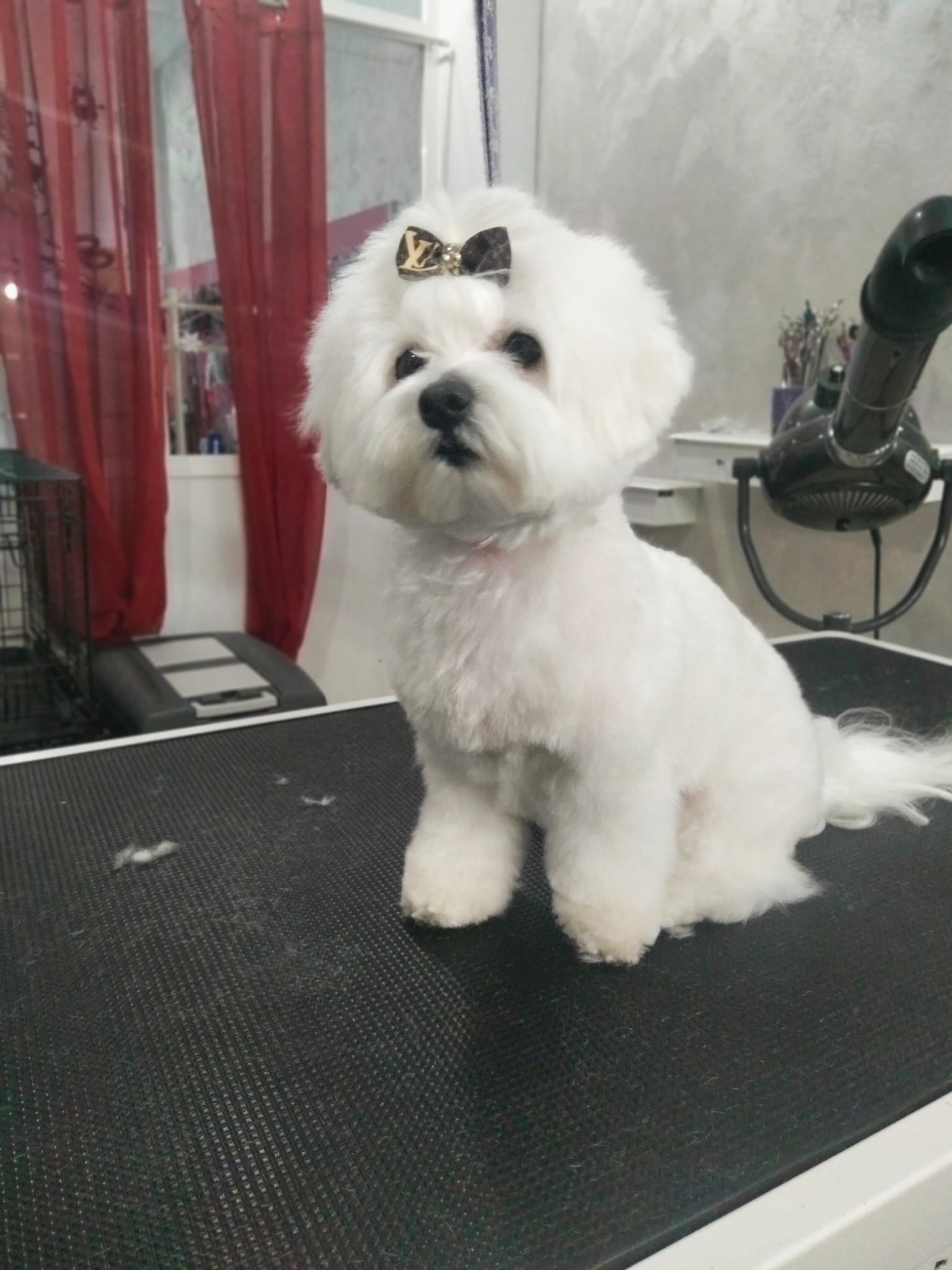 WhatsApp Image 2022-05-17 at 9.49.44 AM (1)