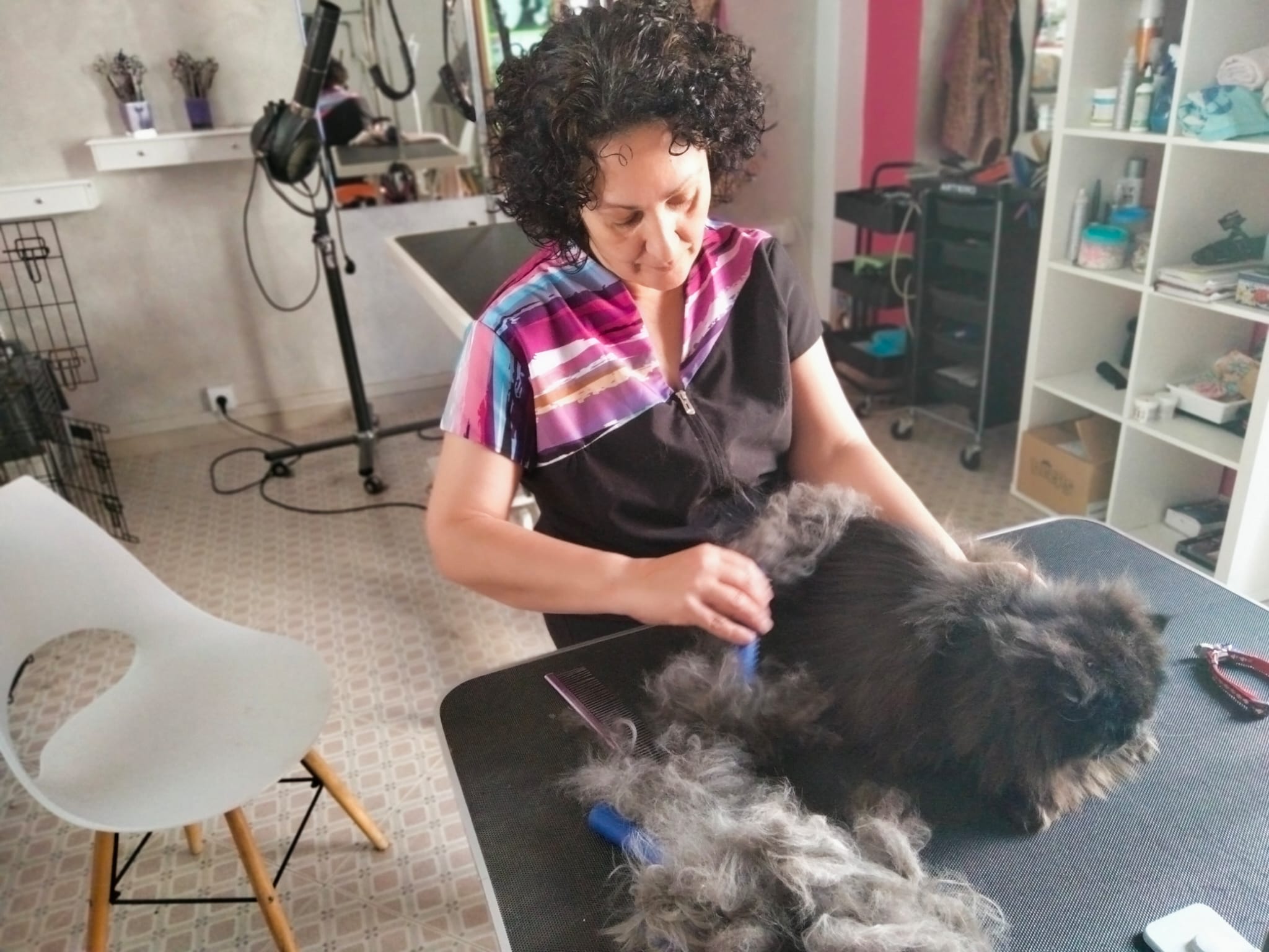 WhatsApp Image 2022-05-17 at 9.50.09 AM