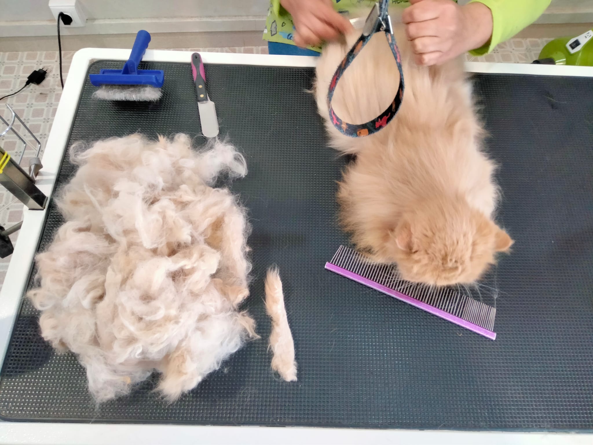 WhatsApp Image 2022-05-17 at 9.55.39 AM (3)