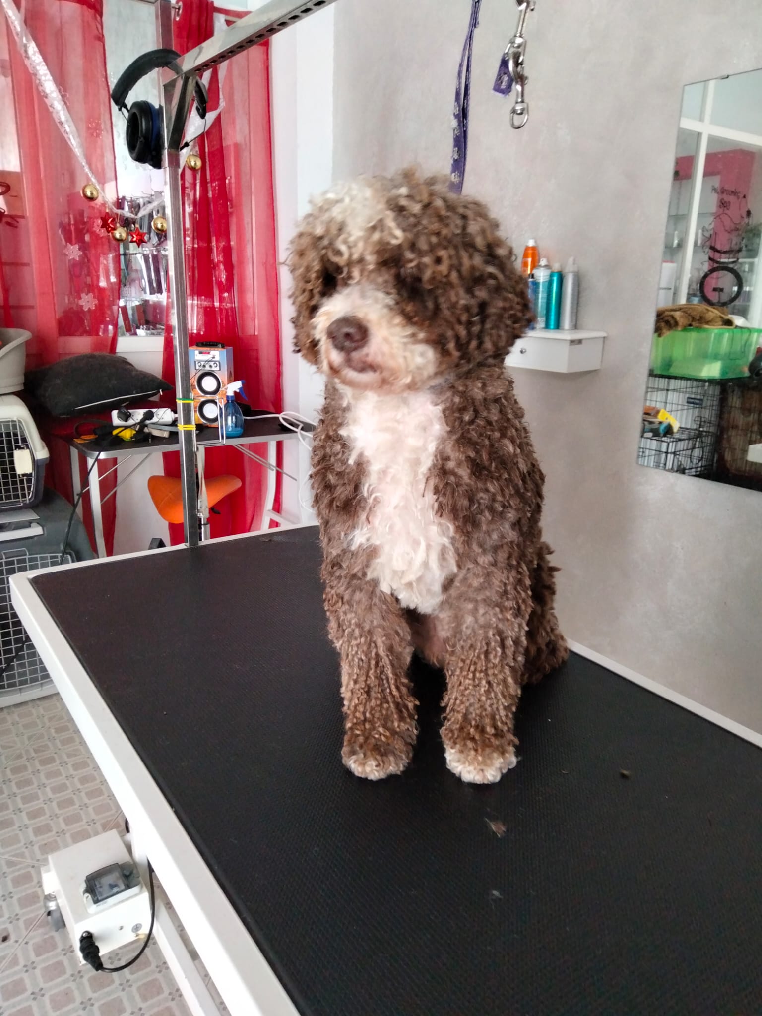 WhatsApp Image 2022-05-17 at 9.55.39 AM